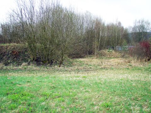 Foto 113